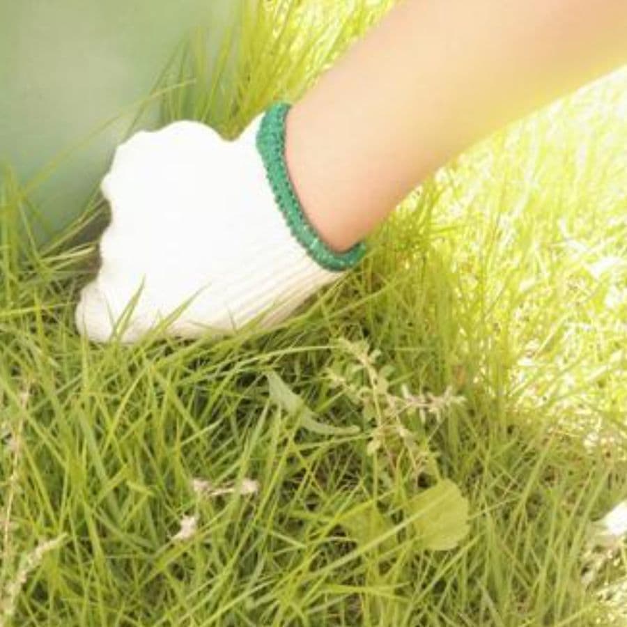 草取り 常滑市 | 常滑市で草取りならお庭の窓口常滑市