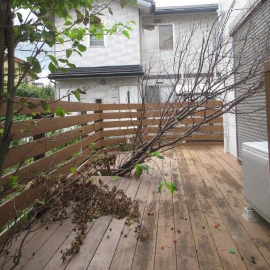 倒木撤去 常滑市 | 常滑市で庭木の倒木撤去ならお庭の窓口常滑市
