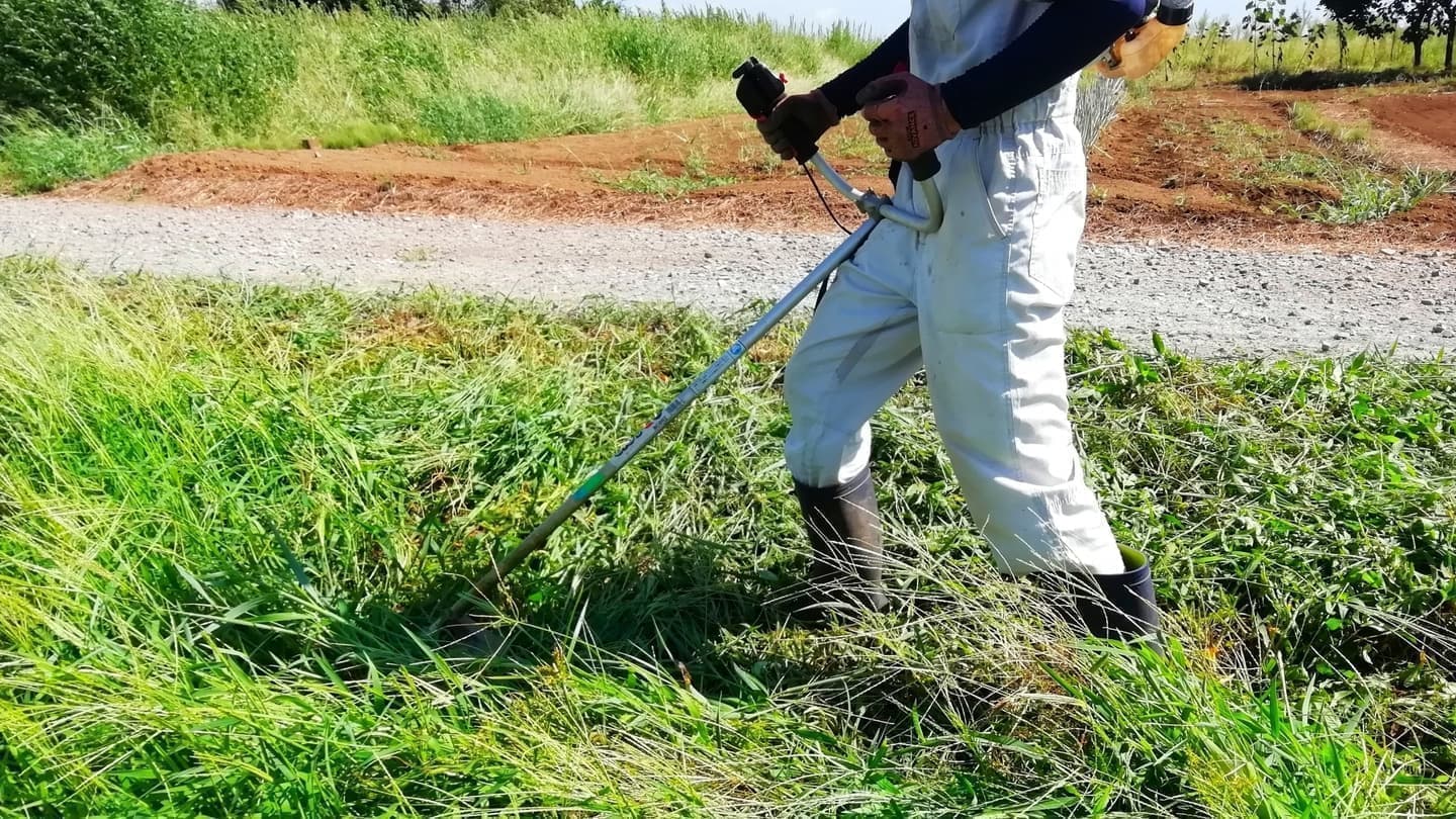 草刈り 常滑市 | 常滑市で草刈りならお庭の窓口常滑市
