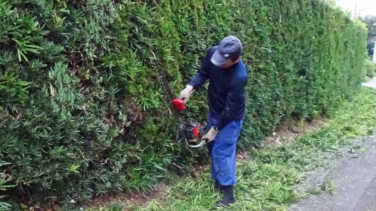 生垣剪定 常滑市 | 常滑市で生垣剪定ならお庭の窓口常滑市