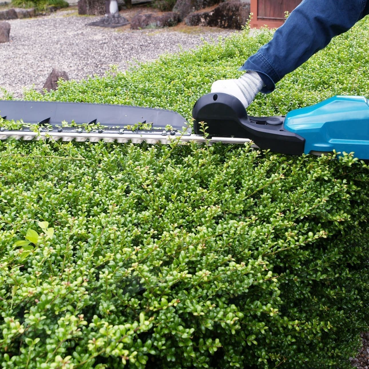 植込み剪定 常滑市 | 常滑市で庭木の植込み剪定ならお庭の窓口常滑市