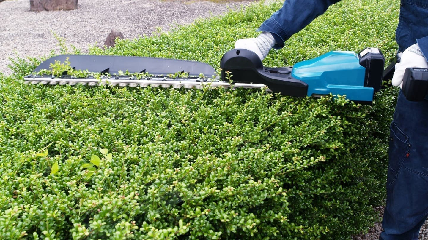 植込み剪定 常滑市 | 常滑市で植込み剪定ならお庭の窓口常滑市