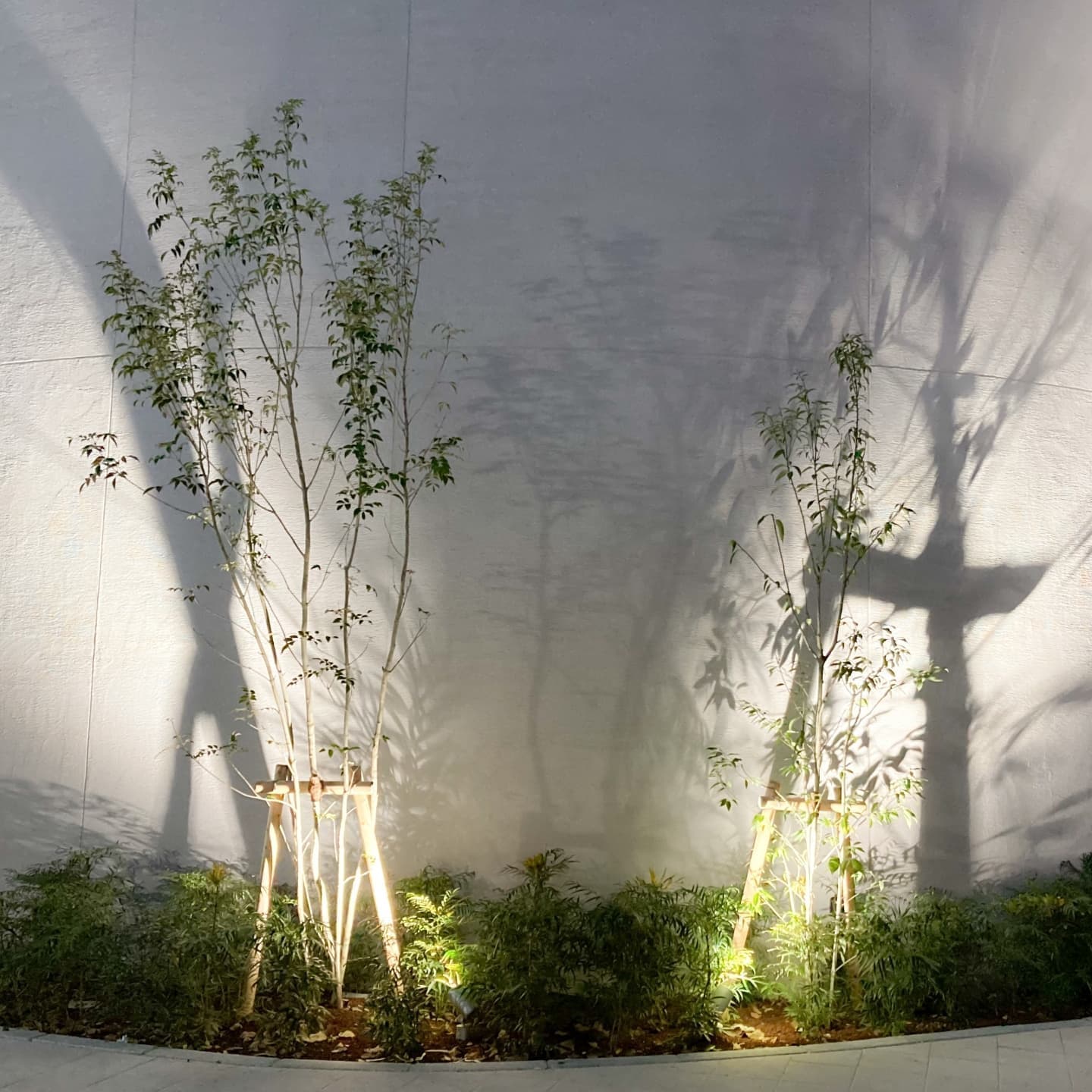 庭木の植栽 常滑市 | 常滑市で庭木の植栽ならお庭の窓口常滑市