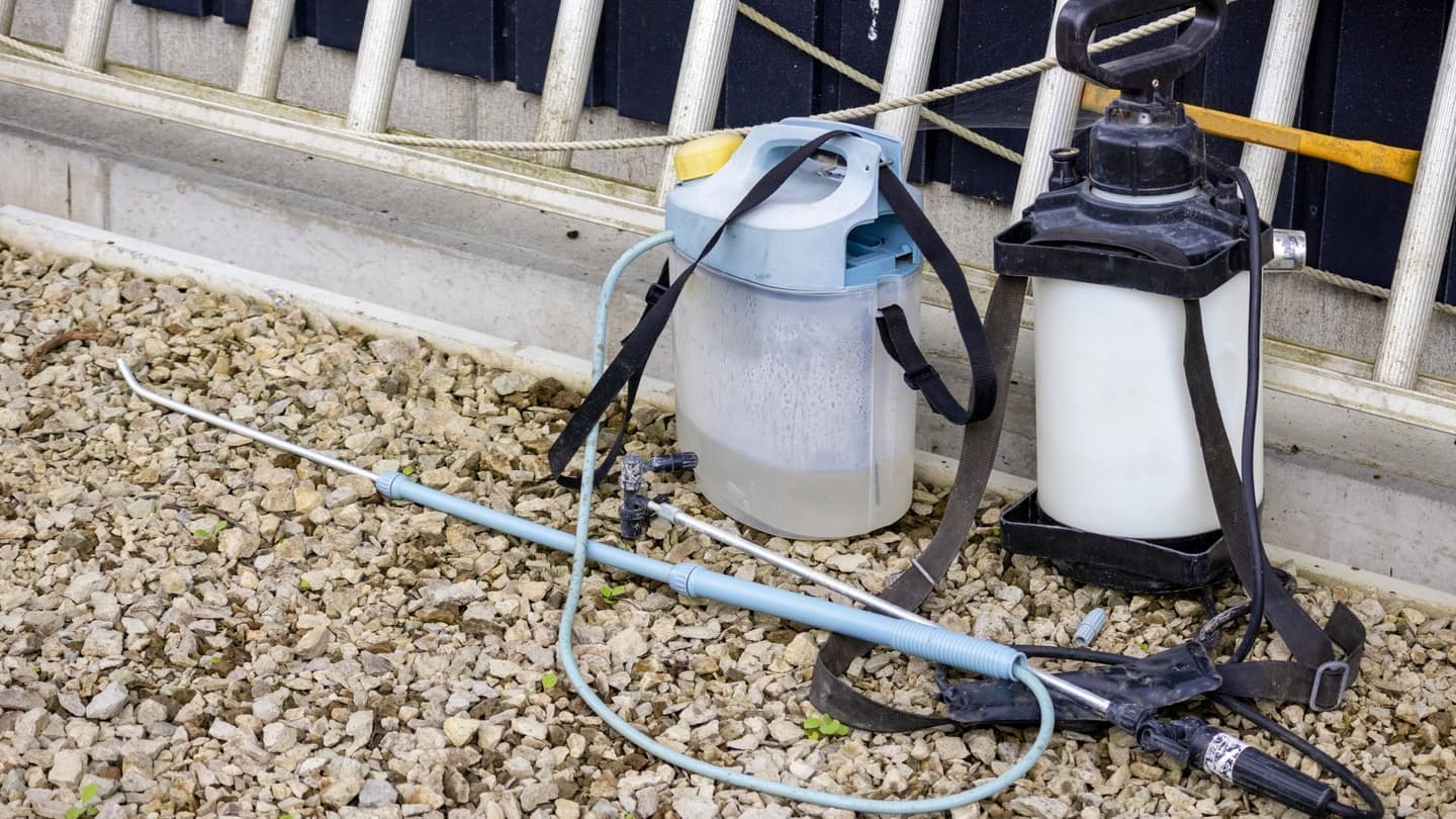 庭木の消毒・害虫対策 常滑市 | 常滑市で庭木の消毒・害虫対策ならお庭の窓口常滑市