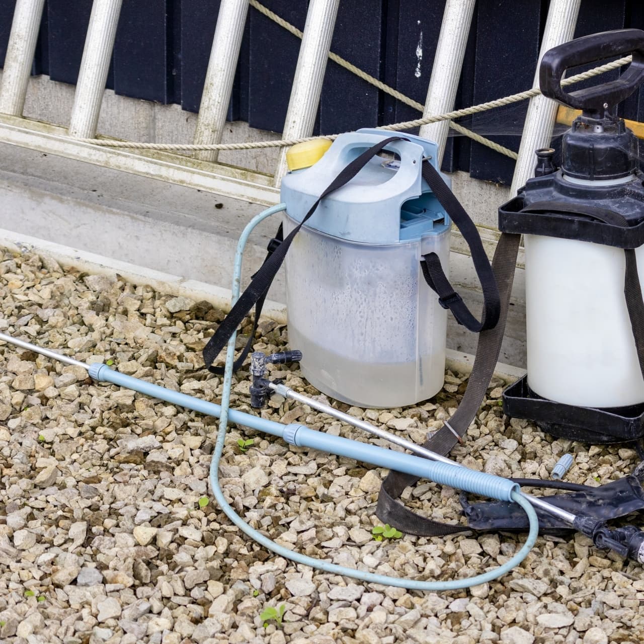 庭木の消毒・害虫対策 常滑市 | 常滑市で庭木の消毒・害虫対策ならお庭の窓口常滑市